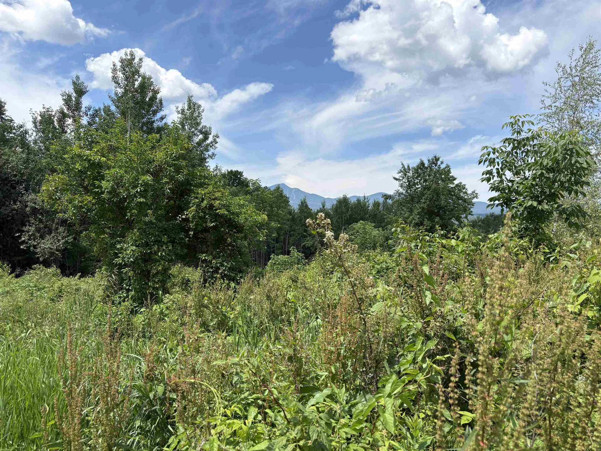 990 Bergeron Road Troy VT 05859