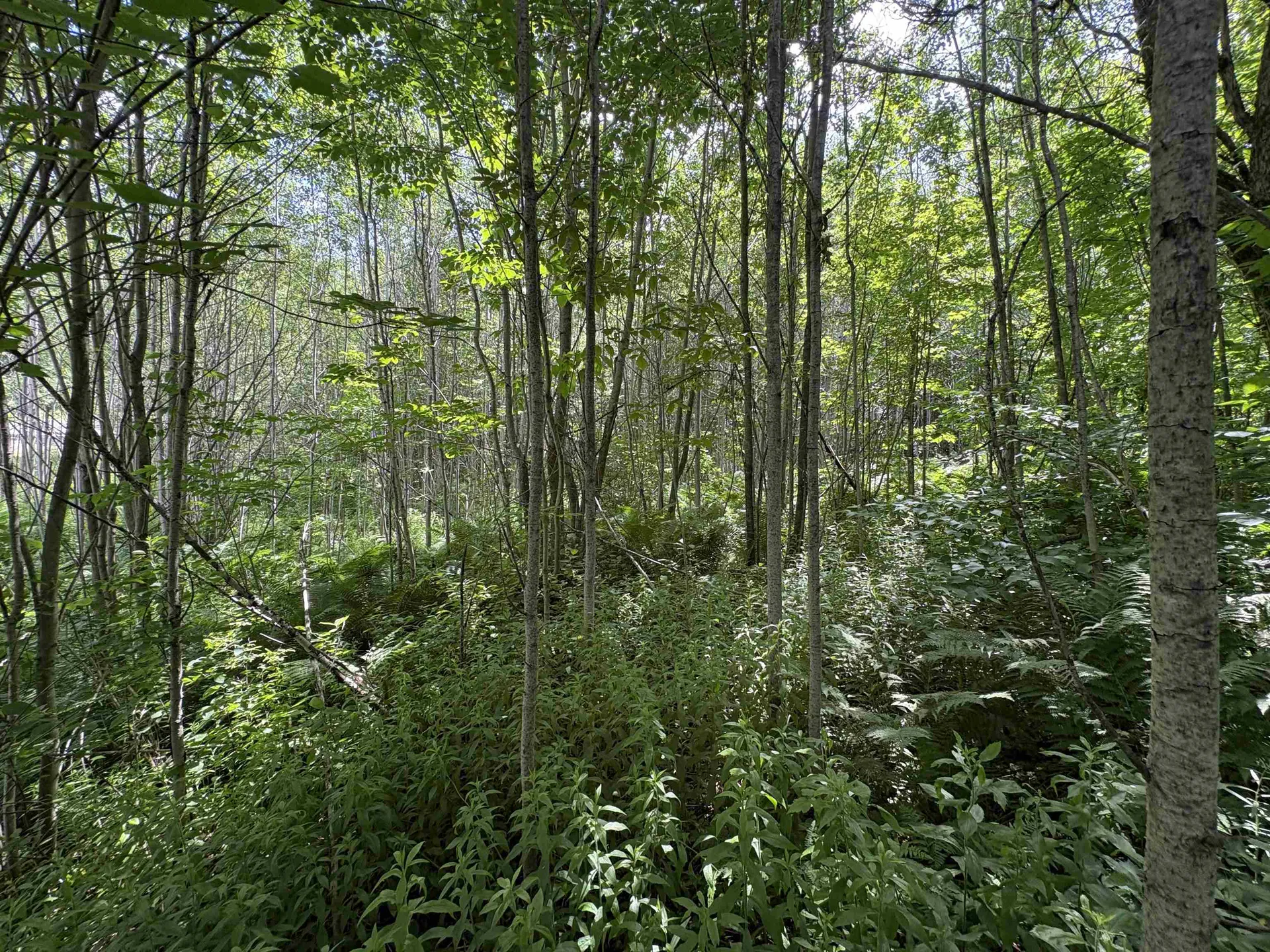 990 Bergeron Road Troy VT 05859