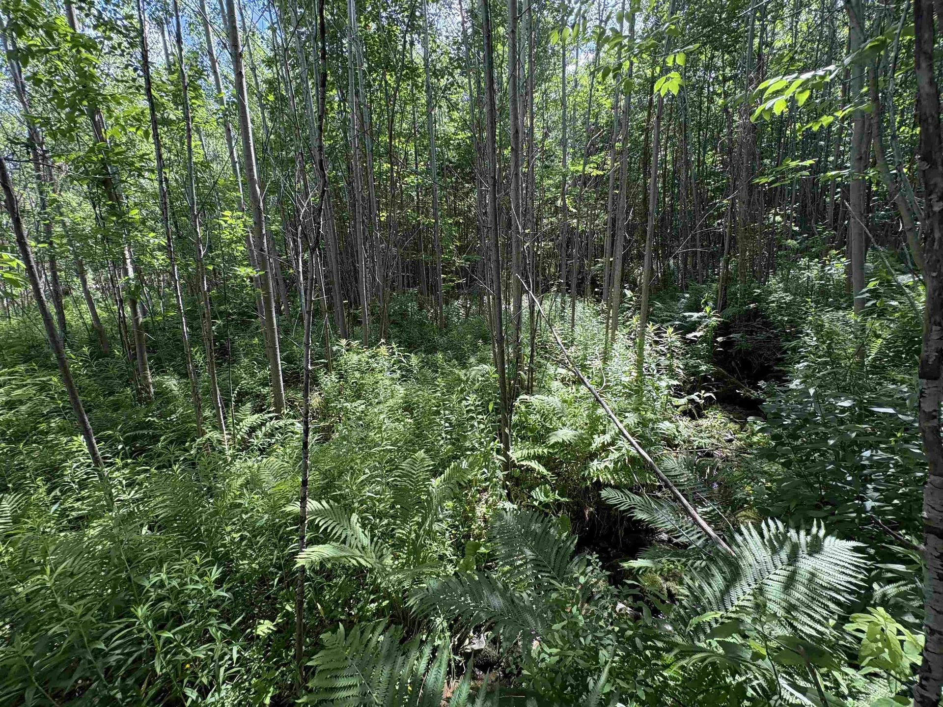 990 Bergeron Road Troy VT 05859