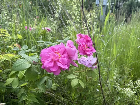 990 Bergeron Road Troy VT 05859