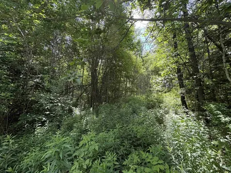 990 Bergeron Road Troy VT 05859