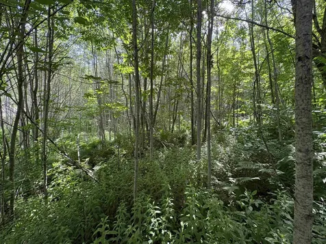 990 Bergeron Road Troy VT 05859