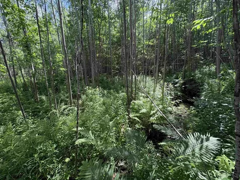 990 Bergeron Road Troy VT 05859