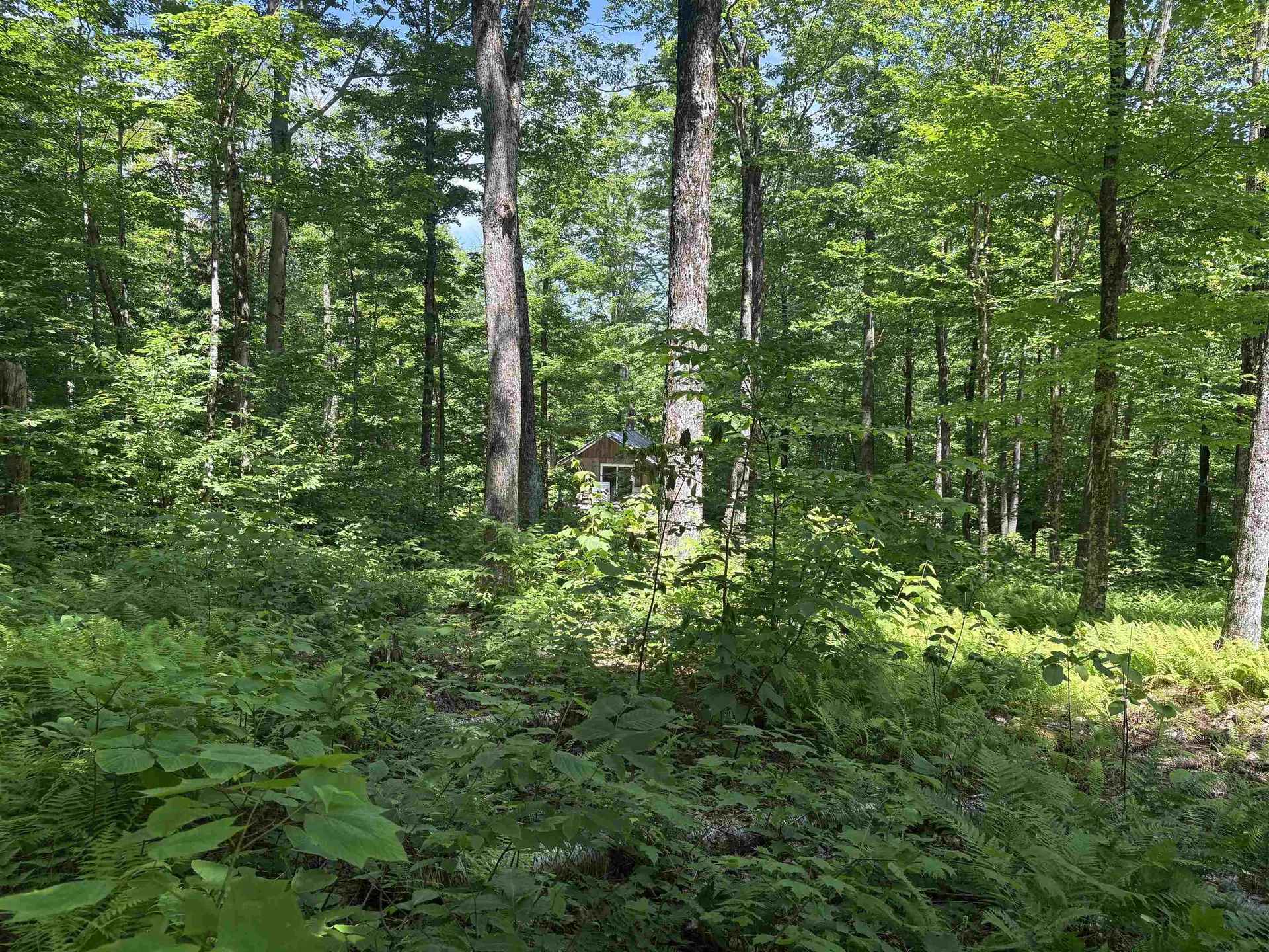 7601 Vt Route 105 E Jay VT 05859
