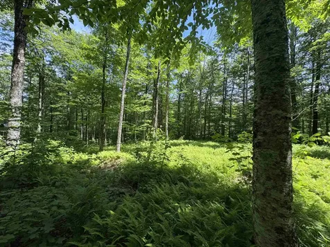 7601 Vt Route 105 E Jay VT 05859