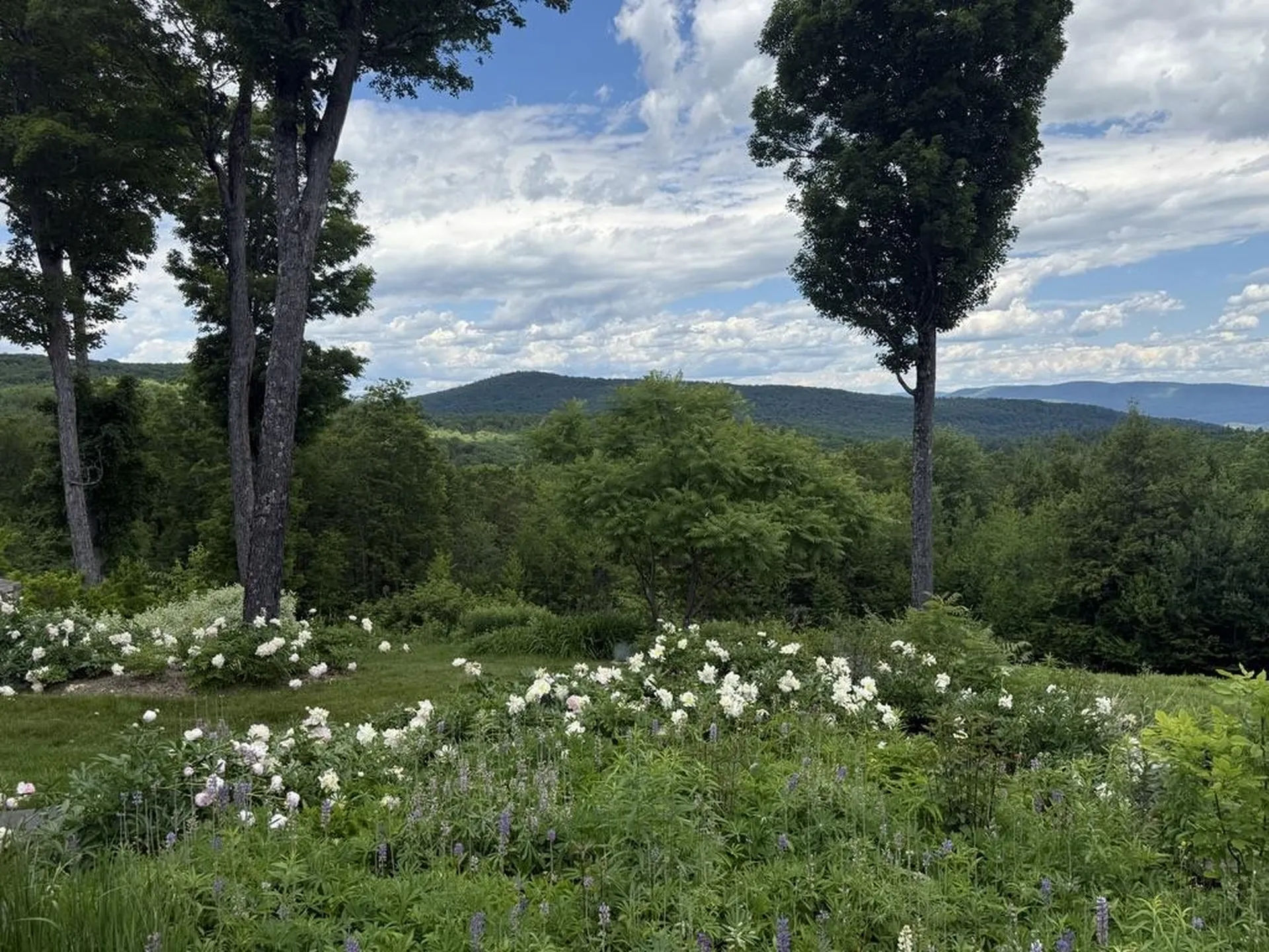 816 Black Bear Road Jamaica VT 05343