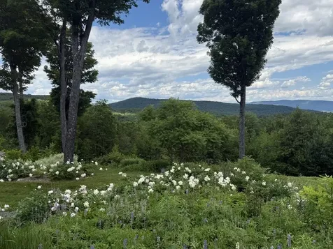 816 Black Bear Road Jamaica VT 05343