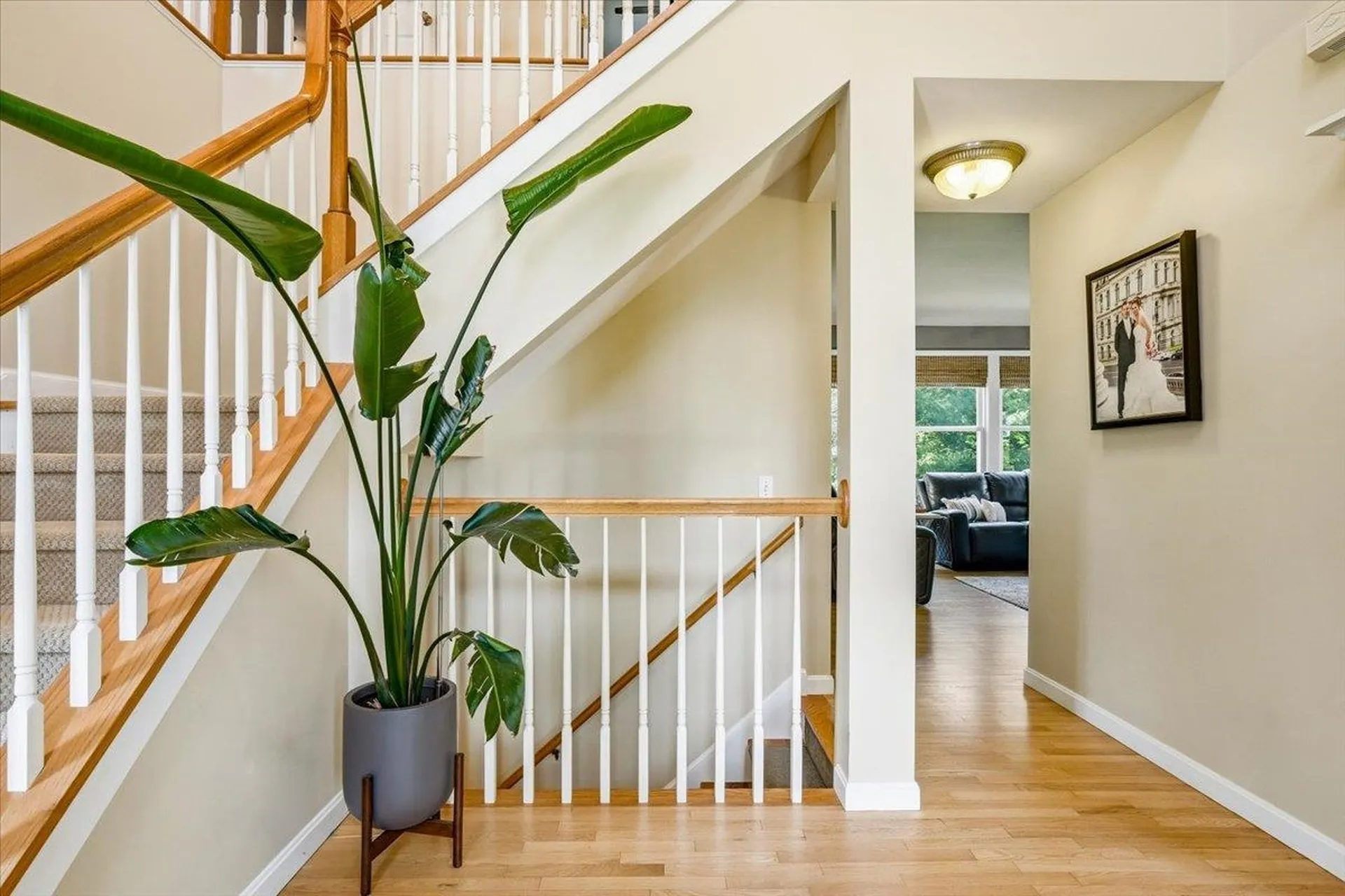 230 Brennan Woods Drive Williston VT 05495