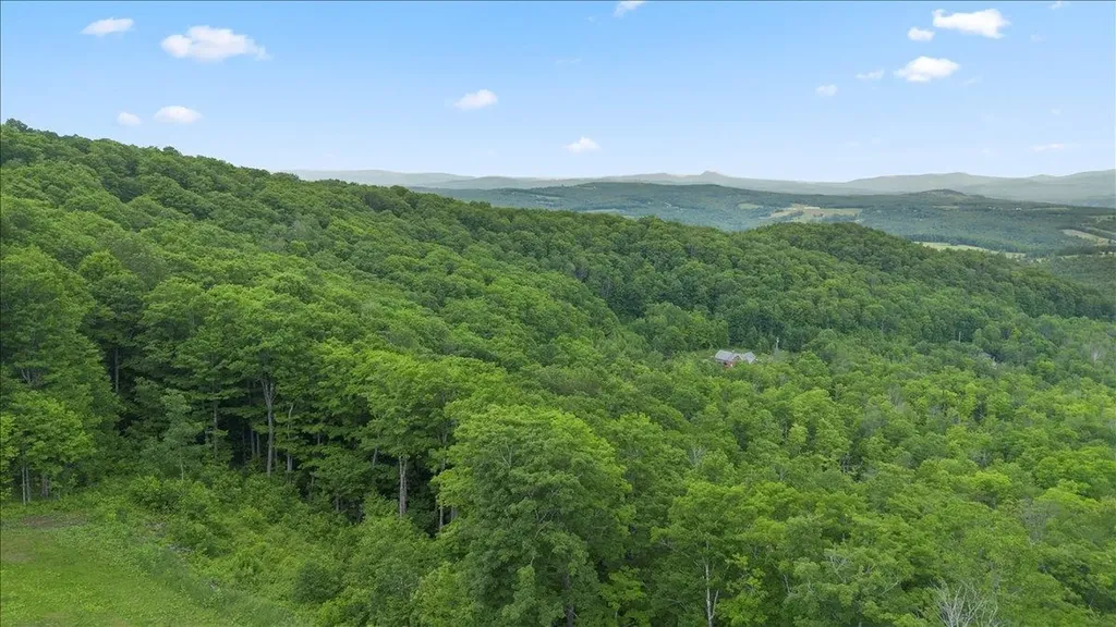 1882 Woodchuck Hollow Road Washington VT 05675