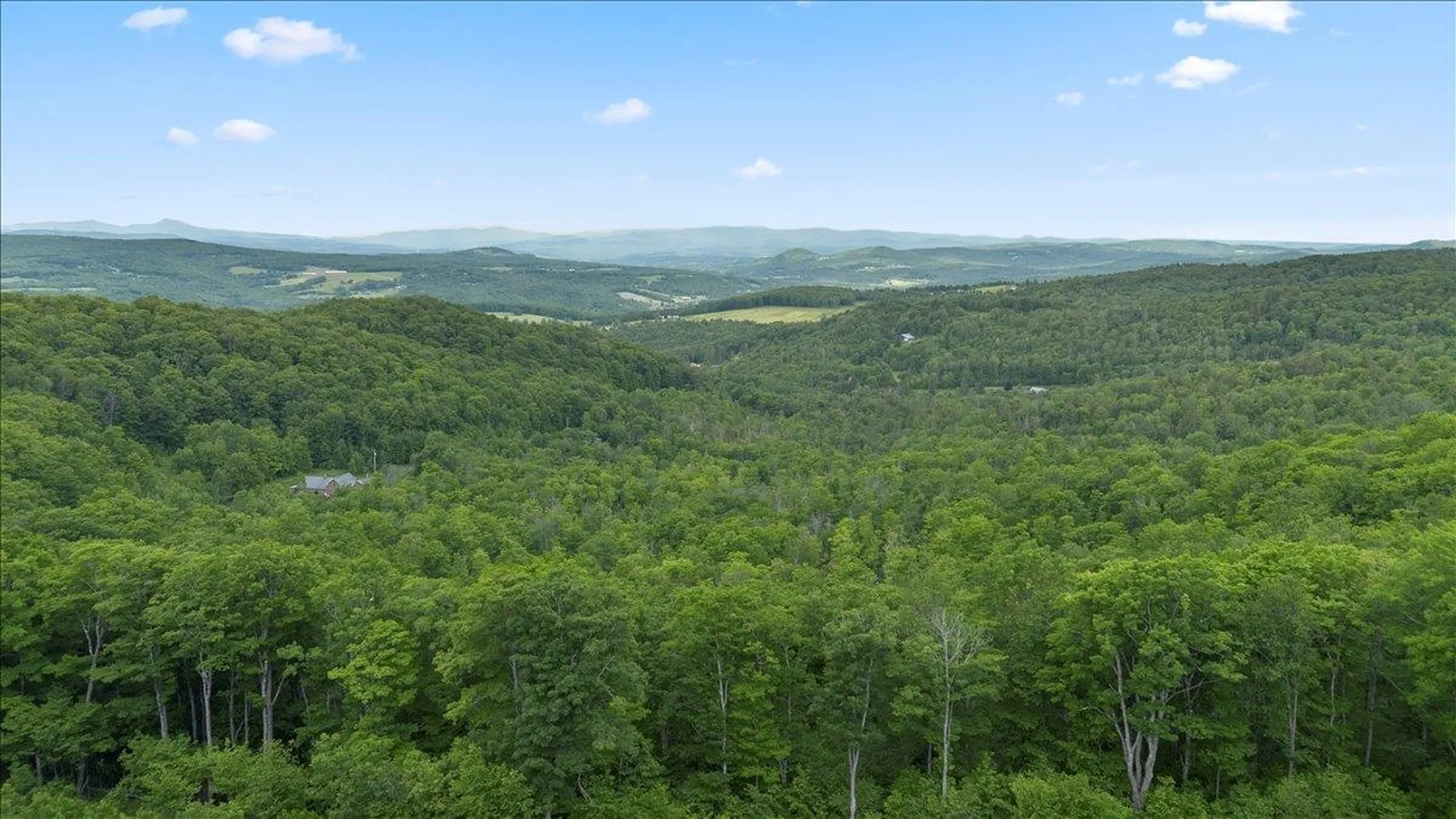 1882 Woodchuck Hollow Road Washington VT 05675