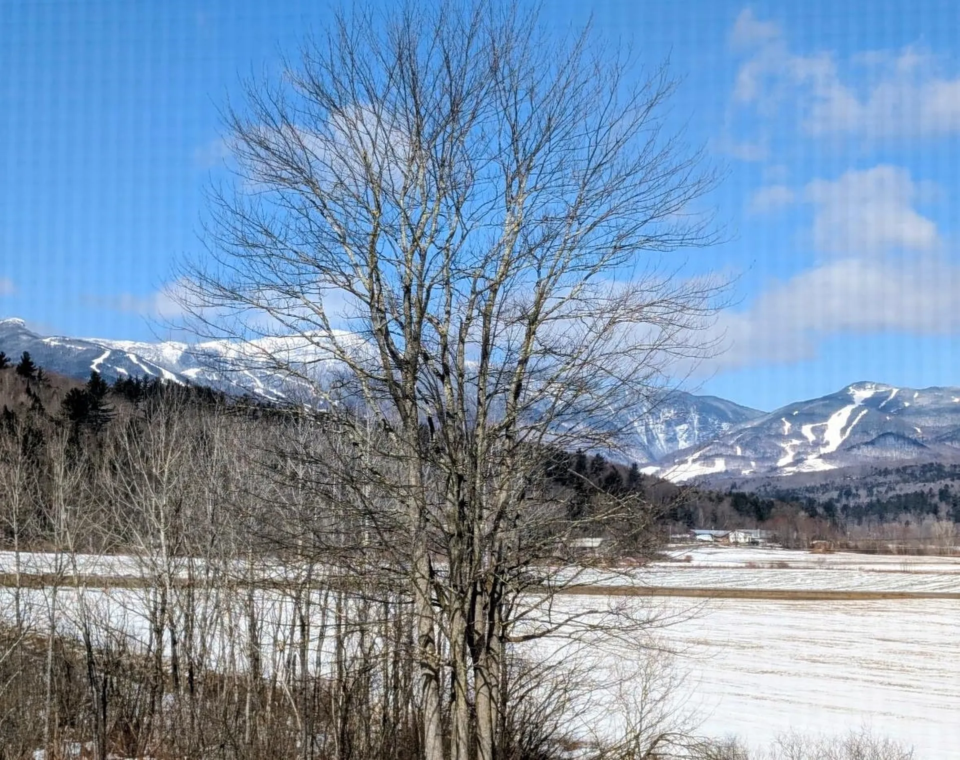 8 Wildlife Road Stowe VT 05672