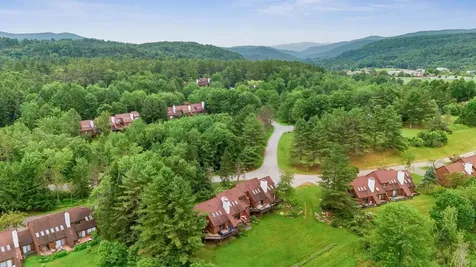 8 Wildlife Road Stowe VT 05672