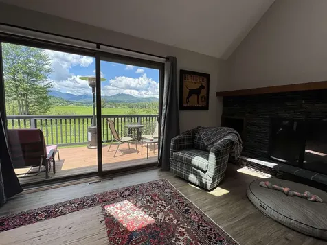 8 Wildlife Road Stowe VT 05672