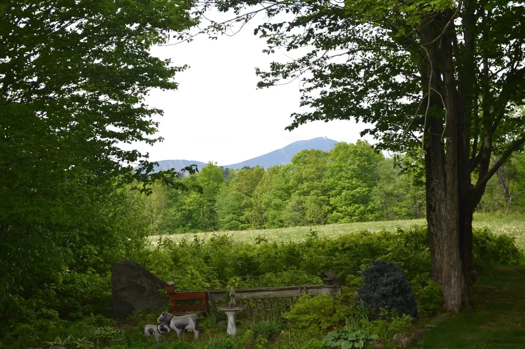 108 Morin Drive Jay VT 05859