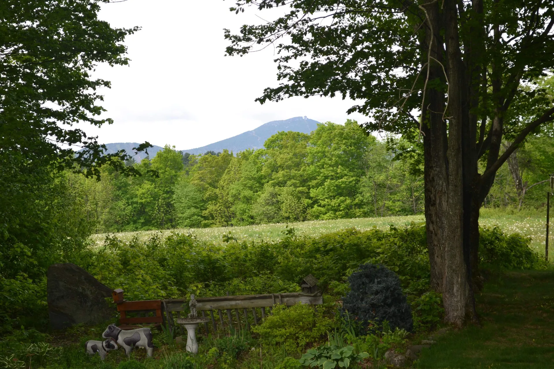 108 Morin Drive Jay VT 05859