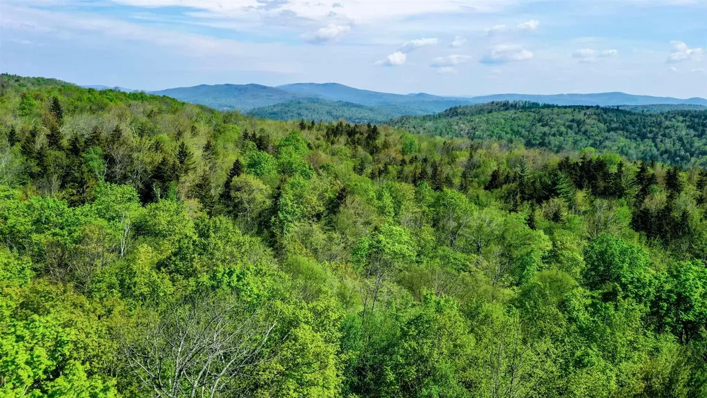 315 Windham Springs Road Windham VT 05359