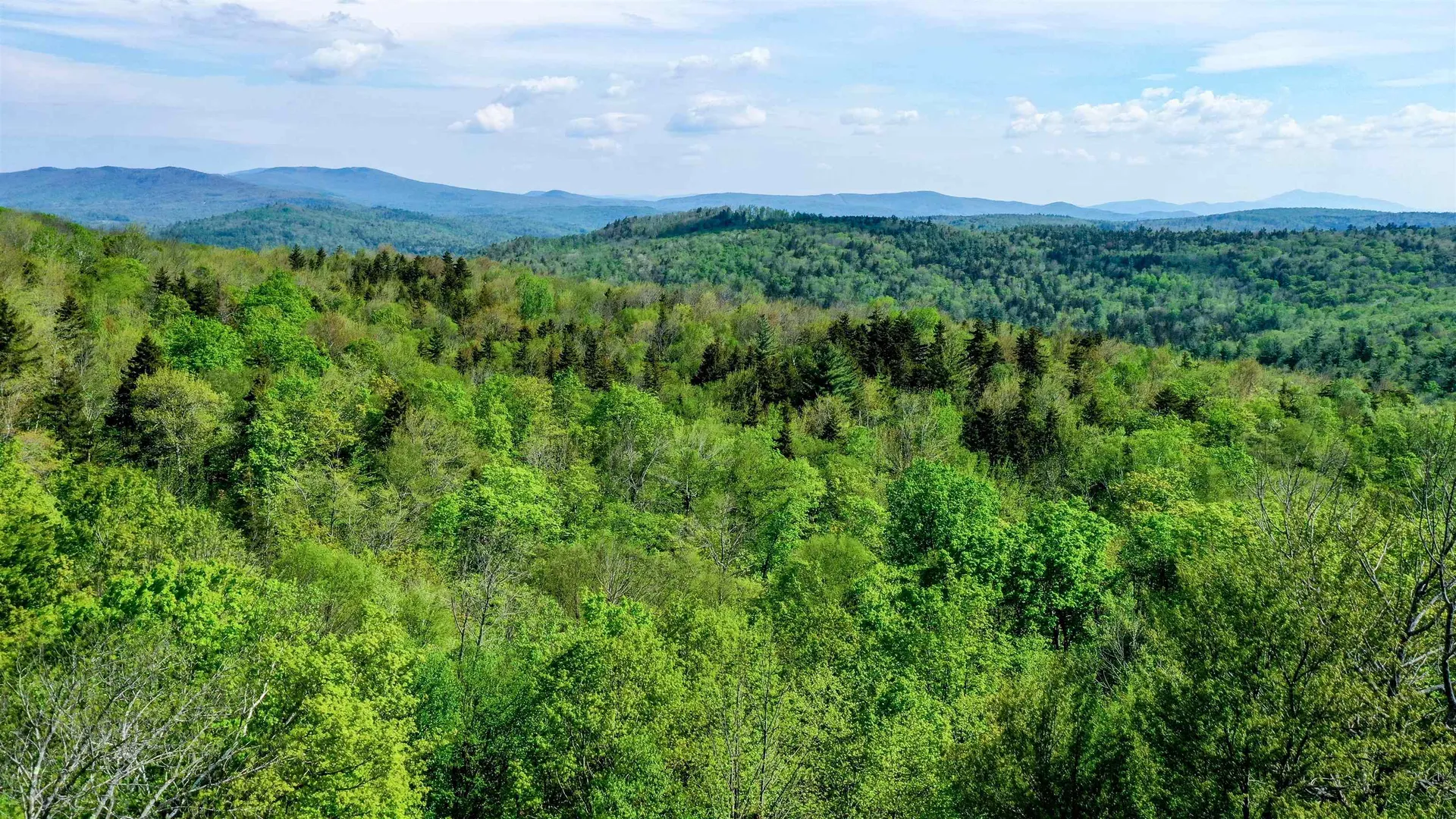 315 Windham Springs Road Windham VT 05359