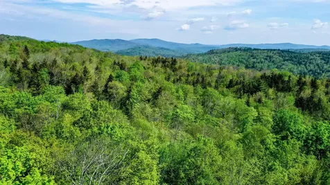 315 Windham Springs Road Windham VT 05359