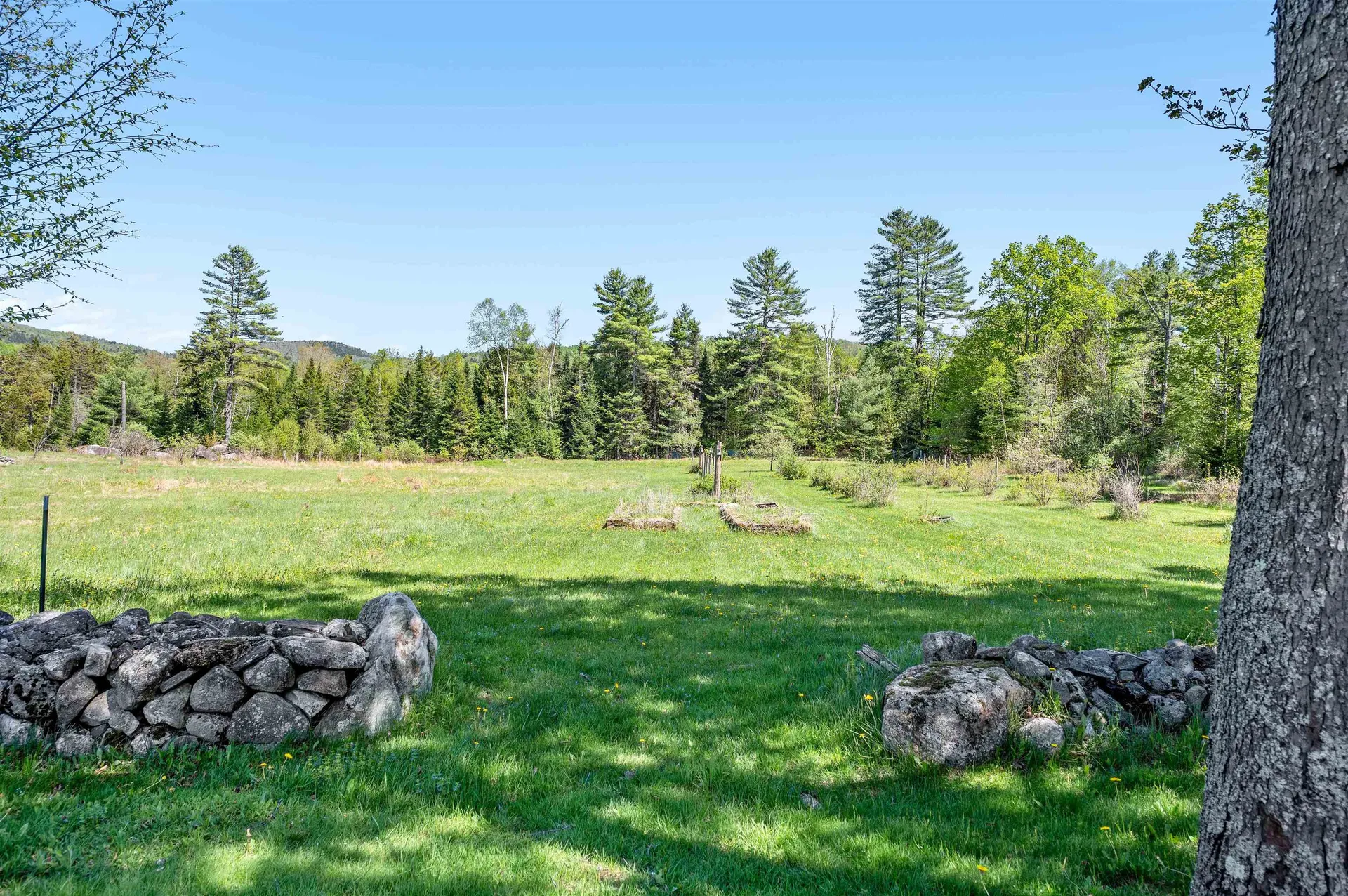 87 Bailey Pond Road Marshfield VT 05658