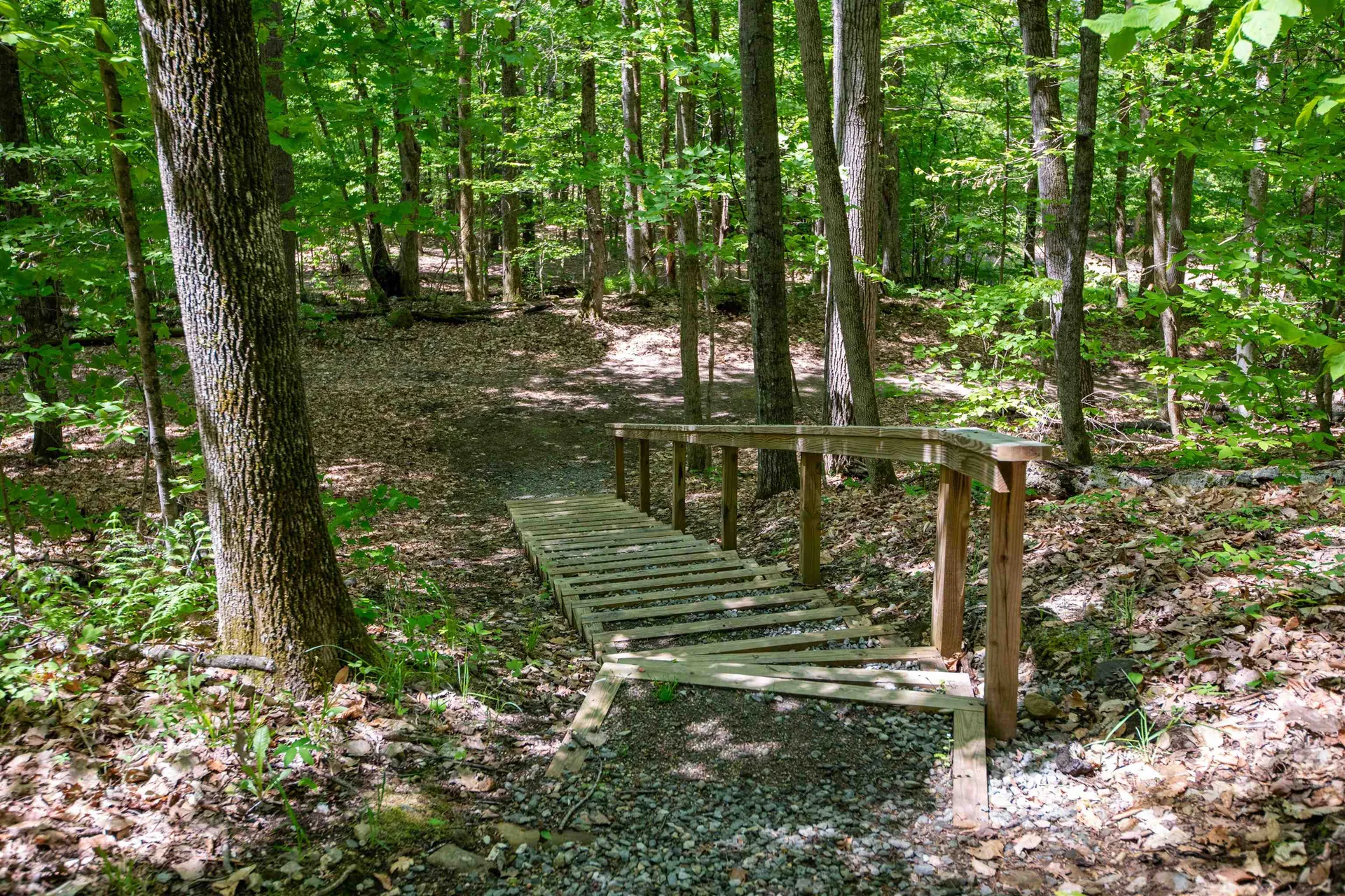273 Birch Landing Road Plymouth VT 05056