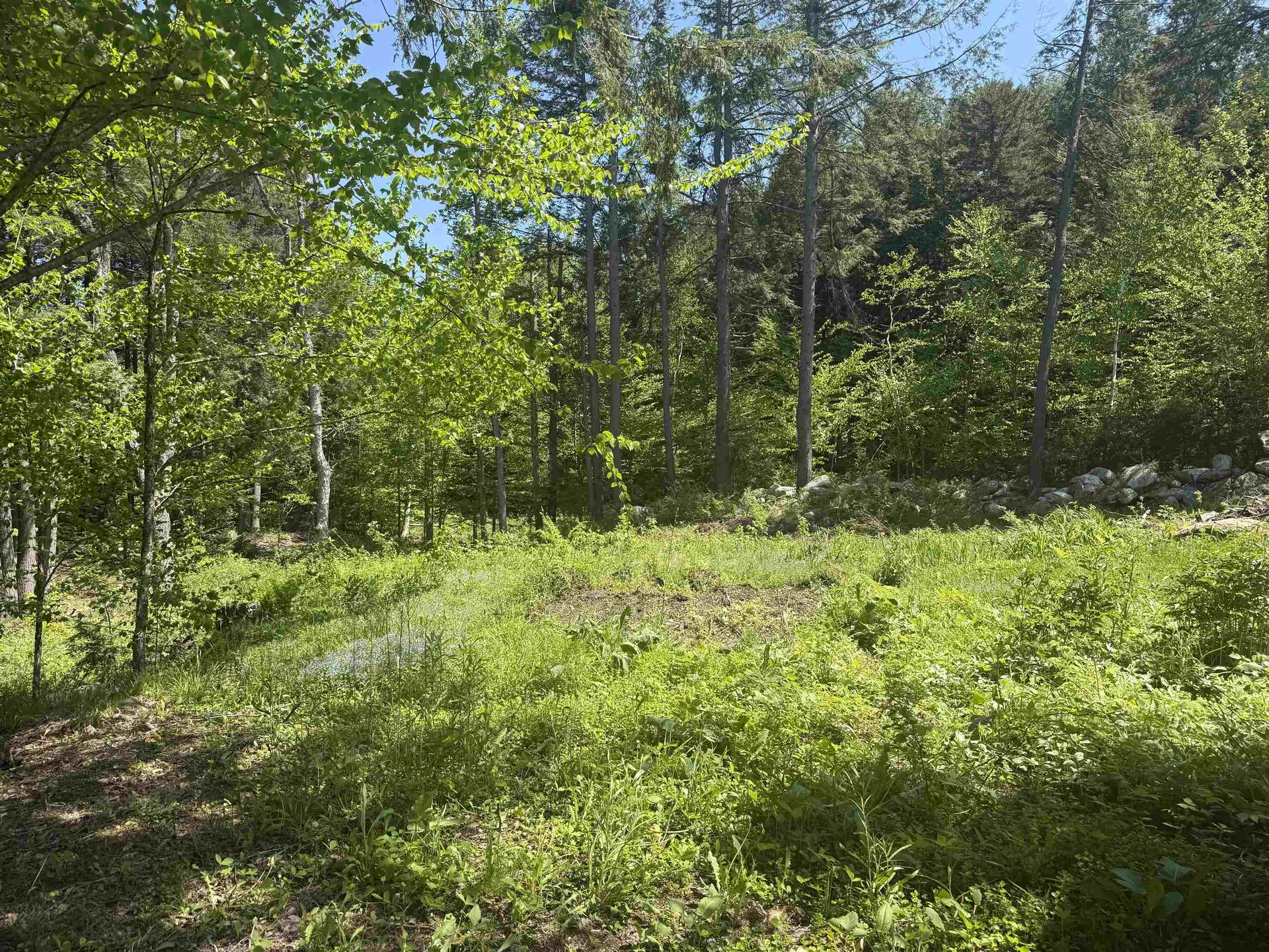 73 Robinson Lane Wardsboro VT 05360