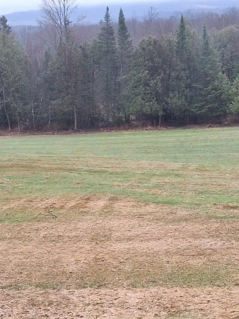 294 Lyon Road Derby VT 05830