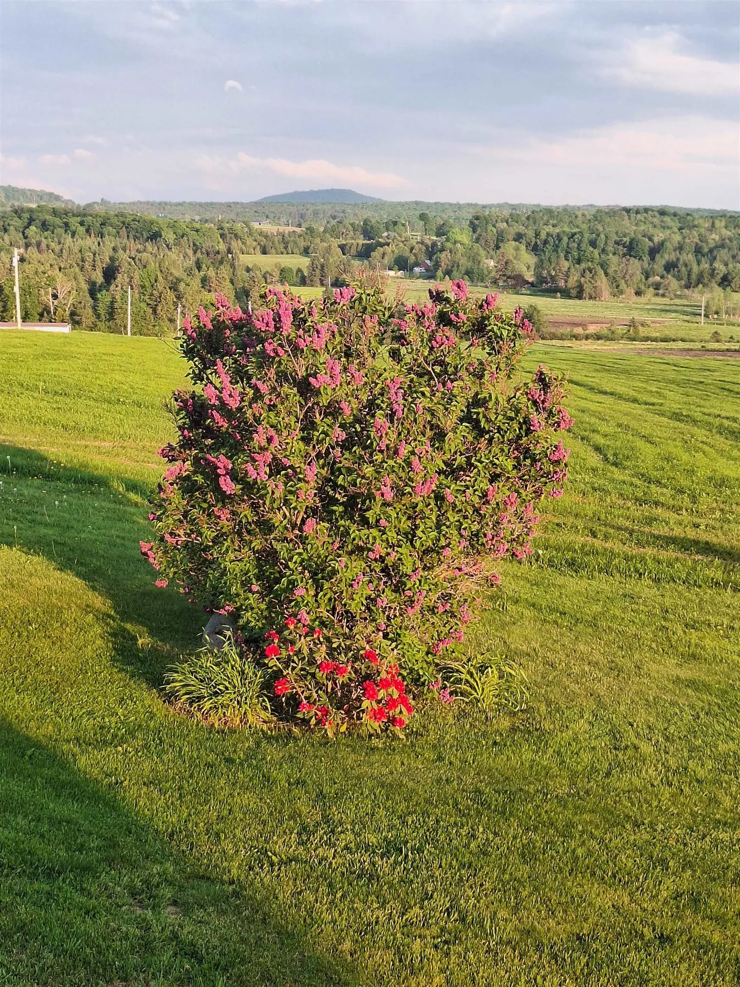 294 Lyon Road Derby VT 05830