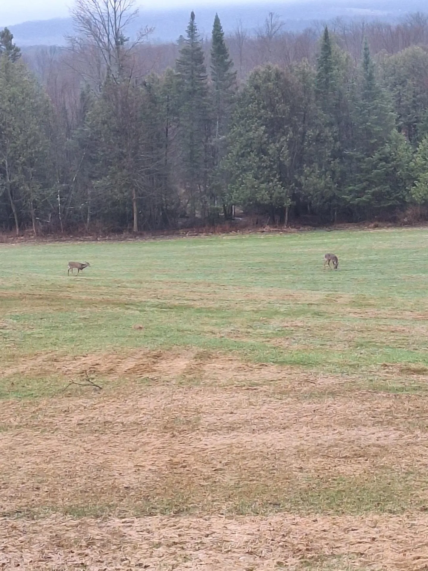 294 Lyon Road Derby VT 05830
