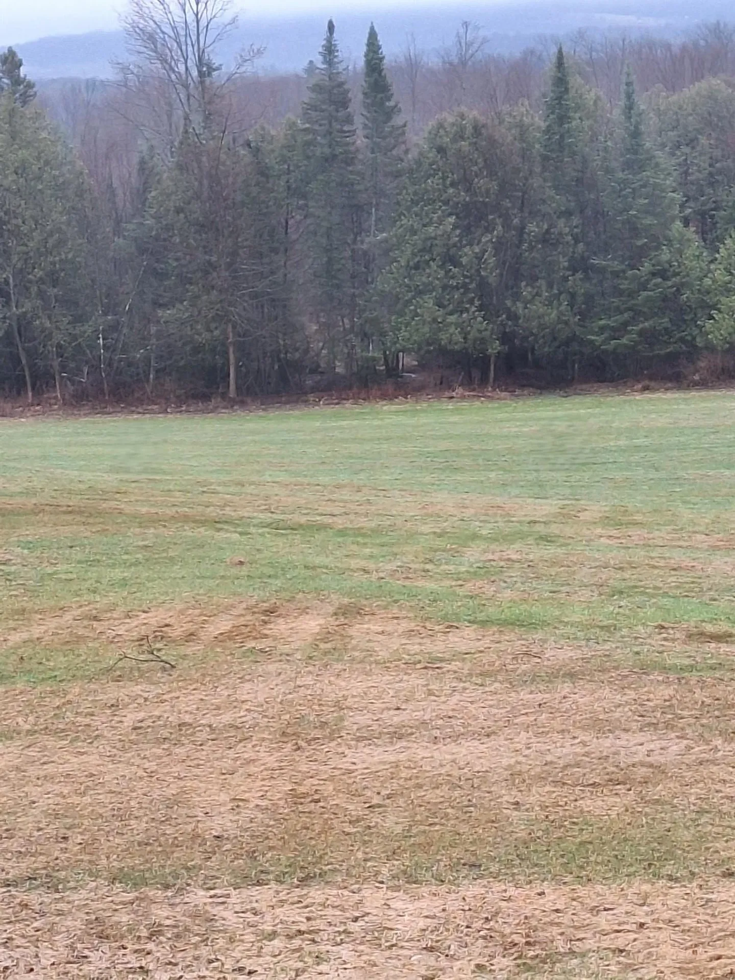 294 Lyon Road Derby VT 05830