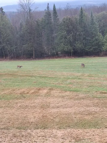 294 Lyon Road Derby VT 05830