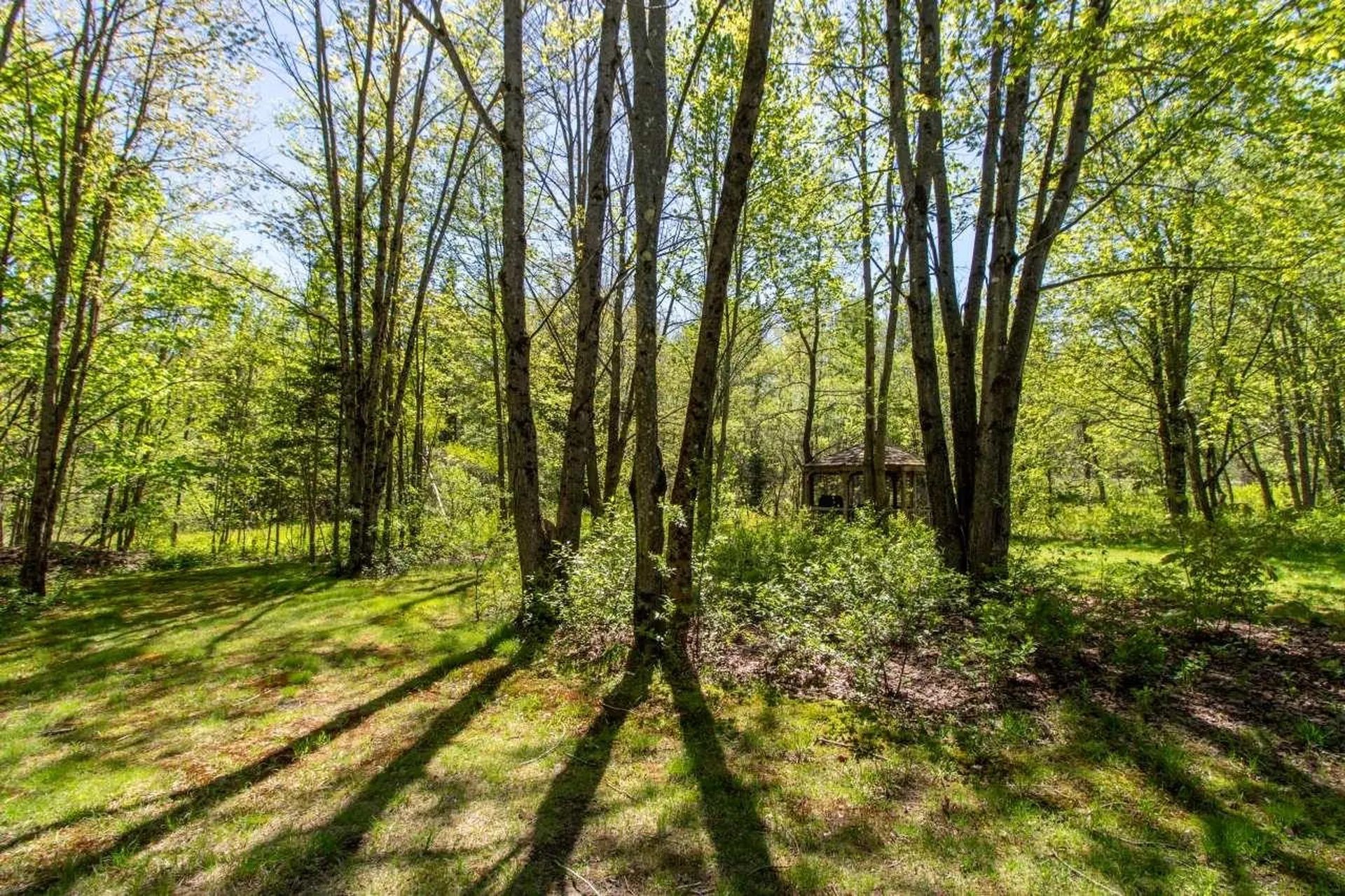 1927 Morey Hill Road Craftsbury VT 05826