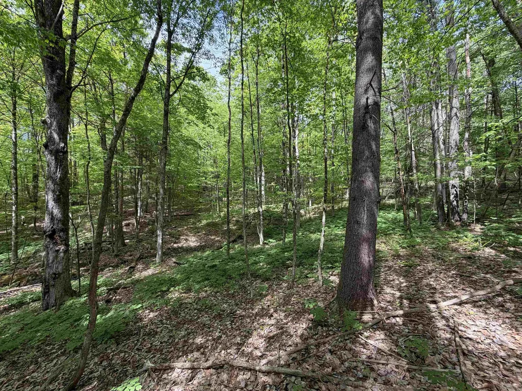 00 Meriden Road Lebanon NH 03766
