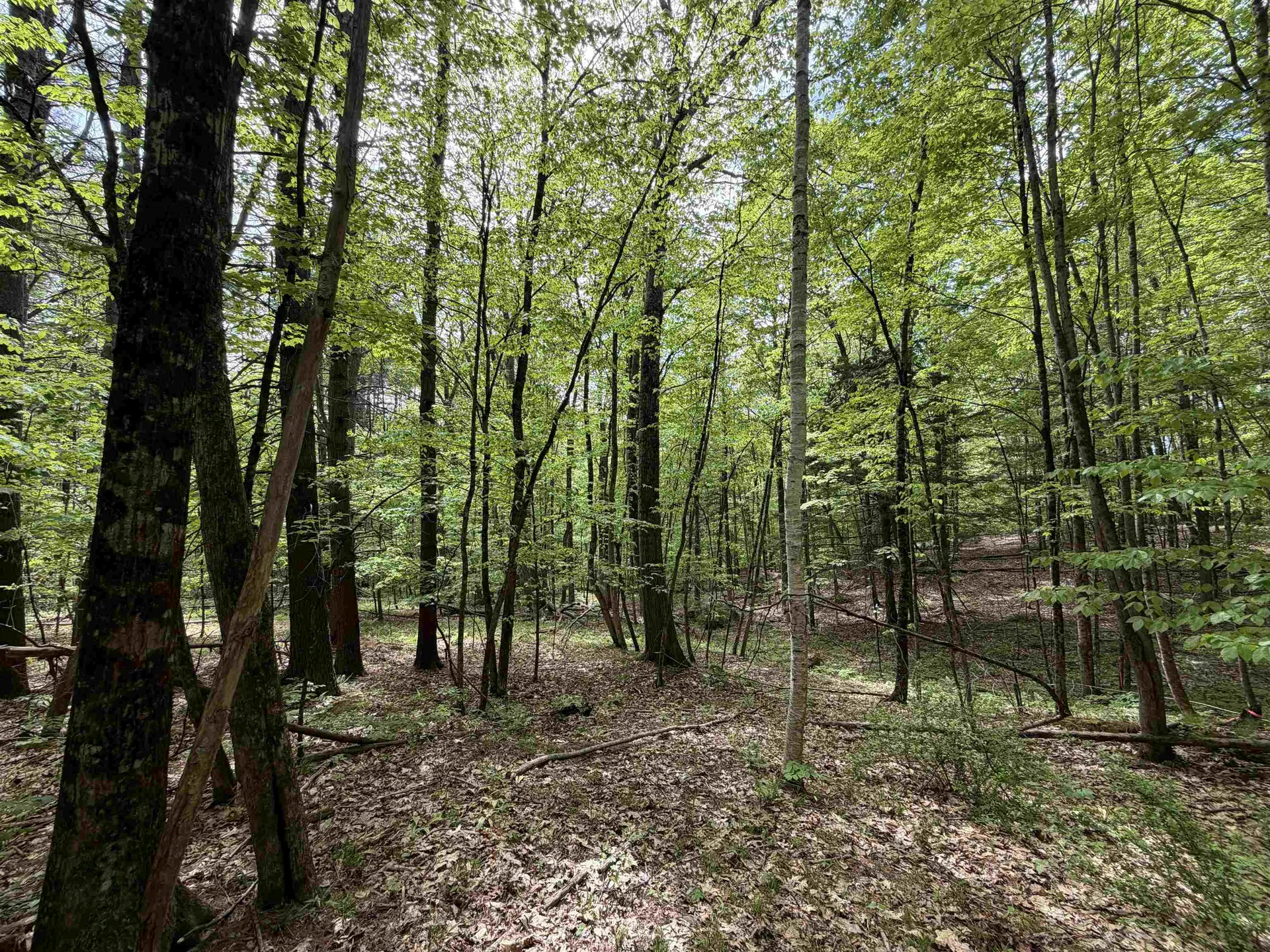 00 Meriden Road Lebanon NH 03766