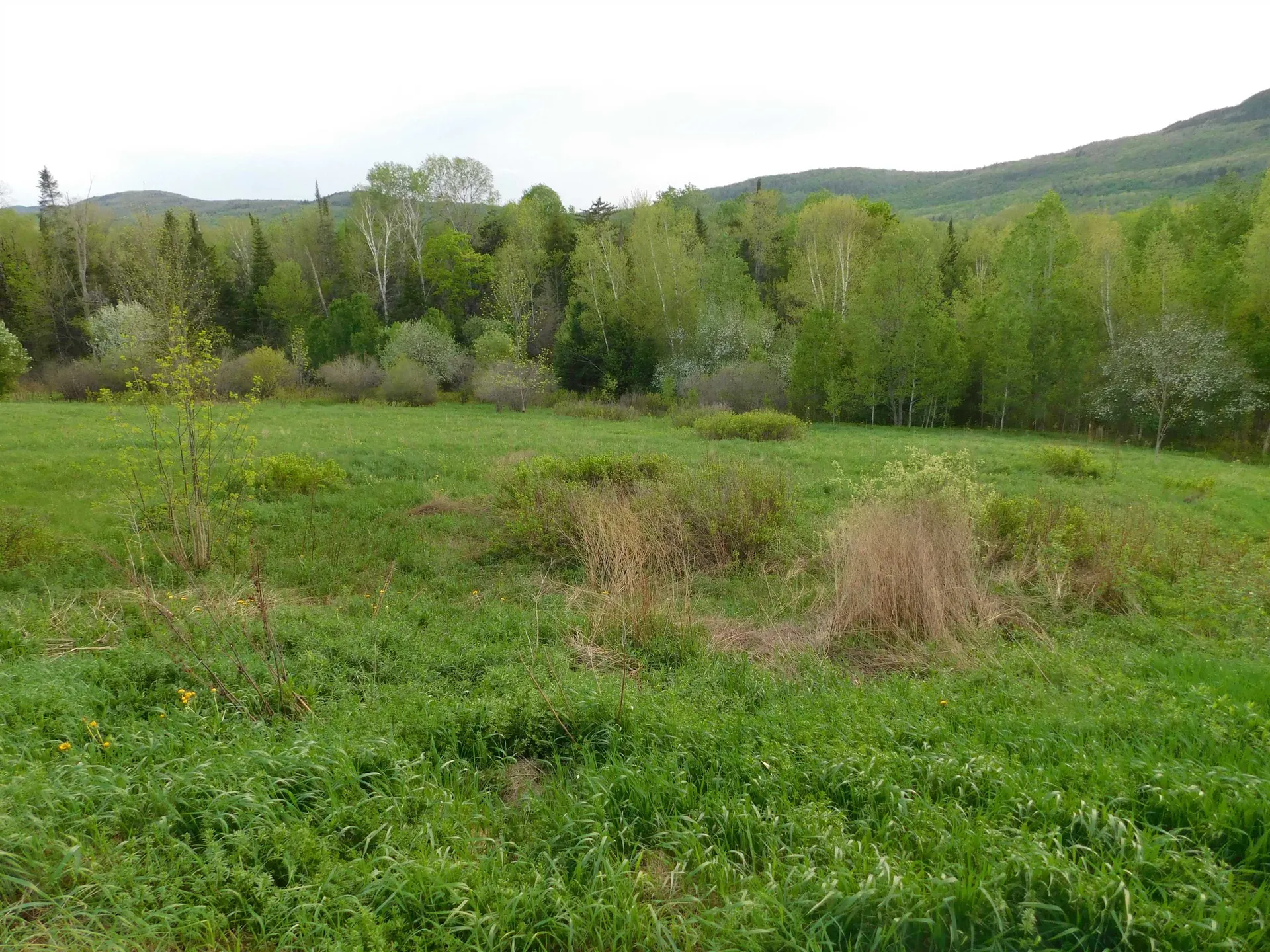 2830 Vt Route 12 Highway Elmore VT 05657