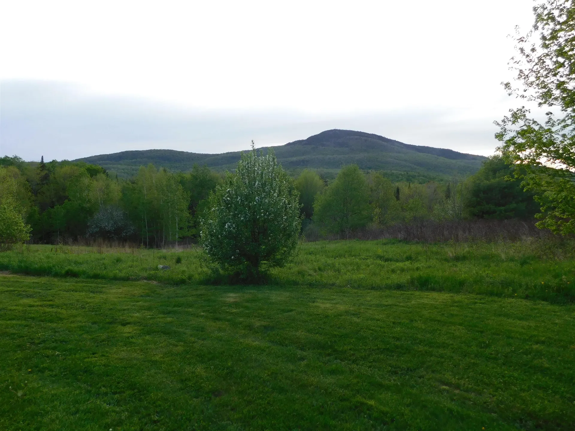 2830 Vt Route 12 Highway Elmore VT 05657