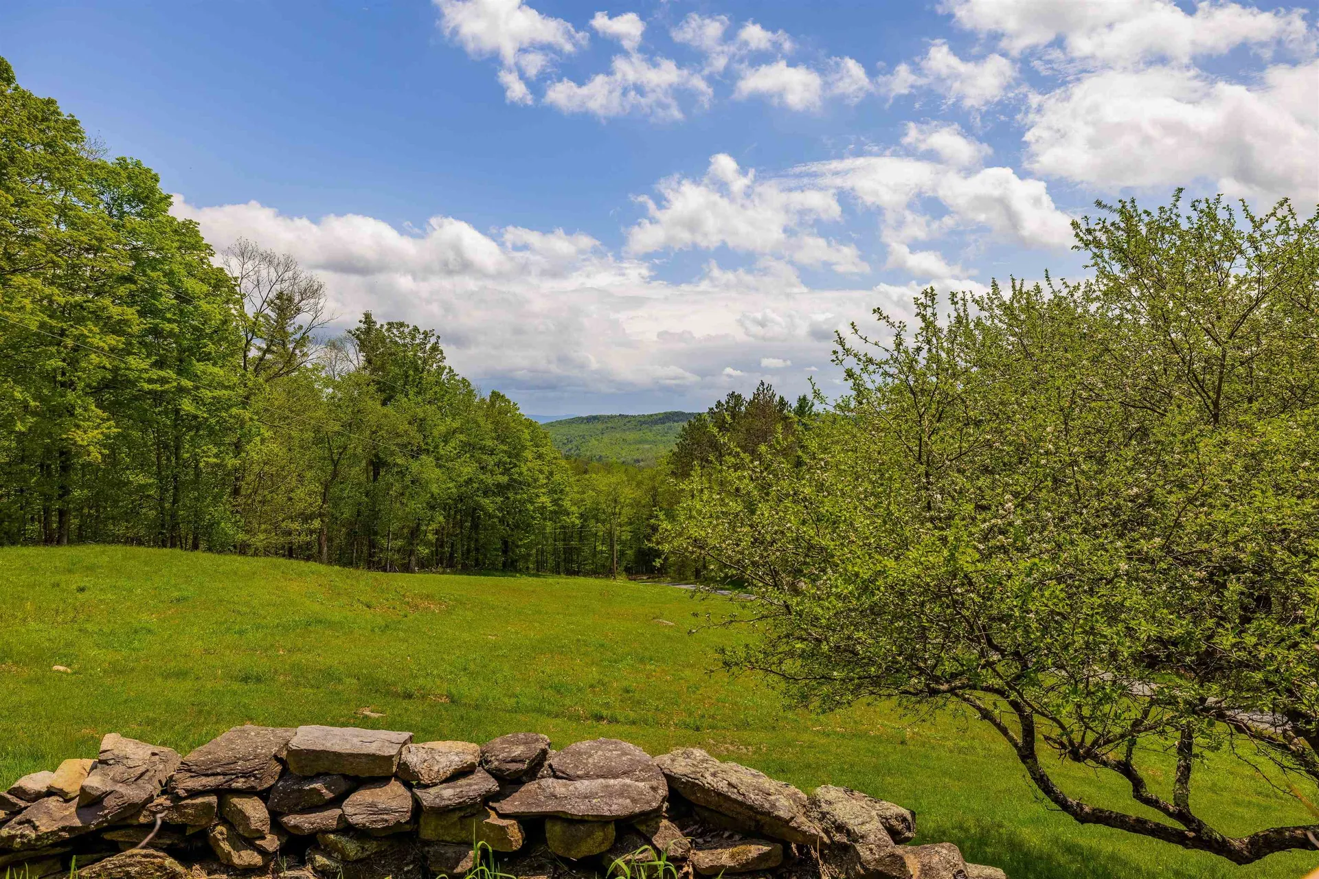 39 Whitcomb Hill Road Strafford VT 05070