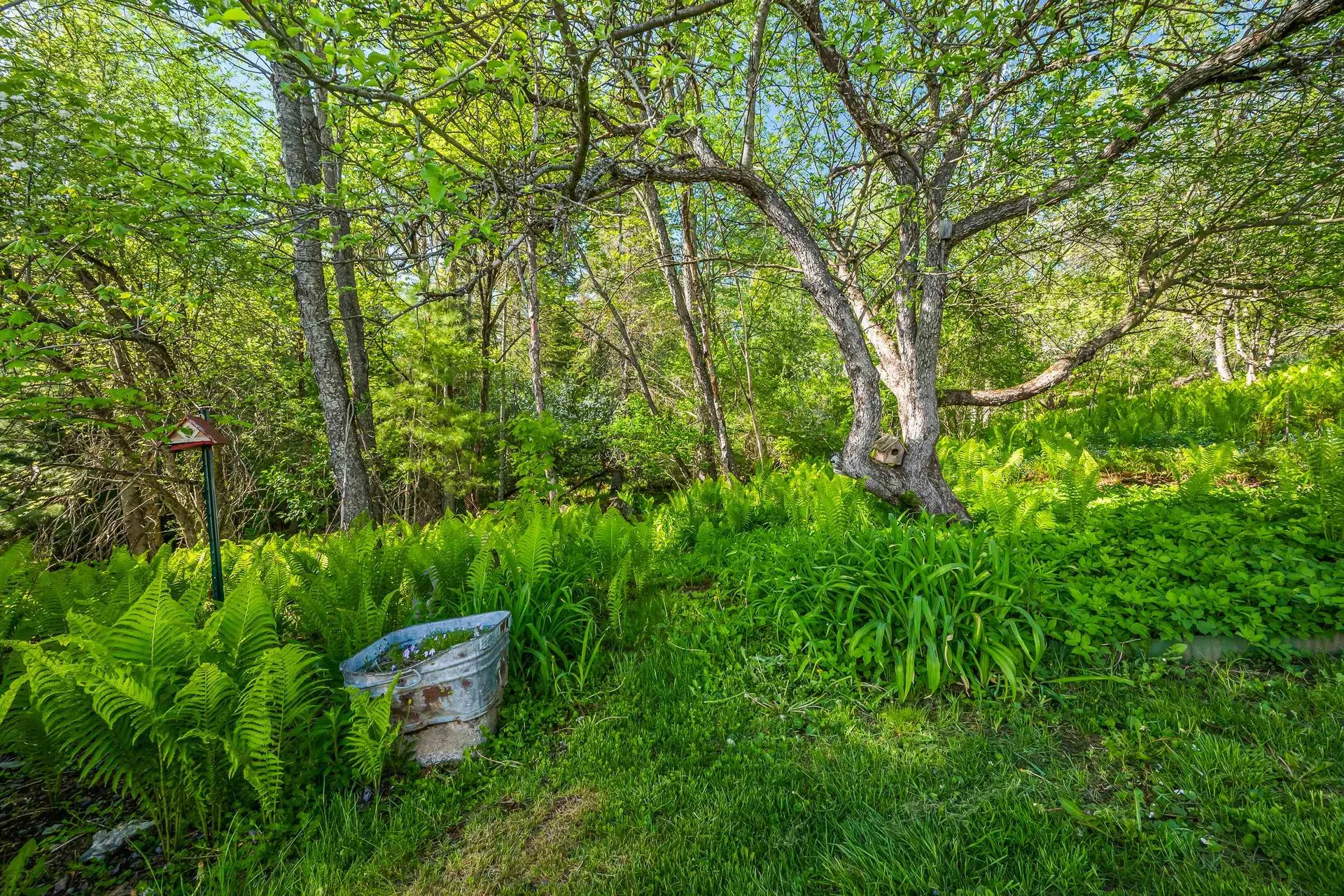 101 Manns Hill Road Littleton NH 03561