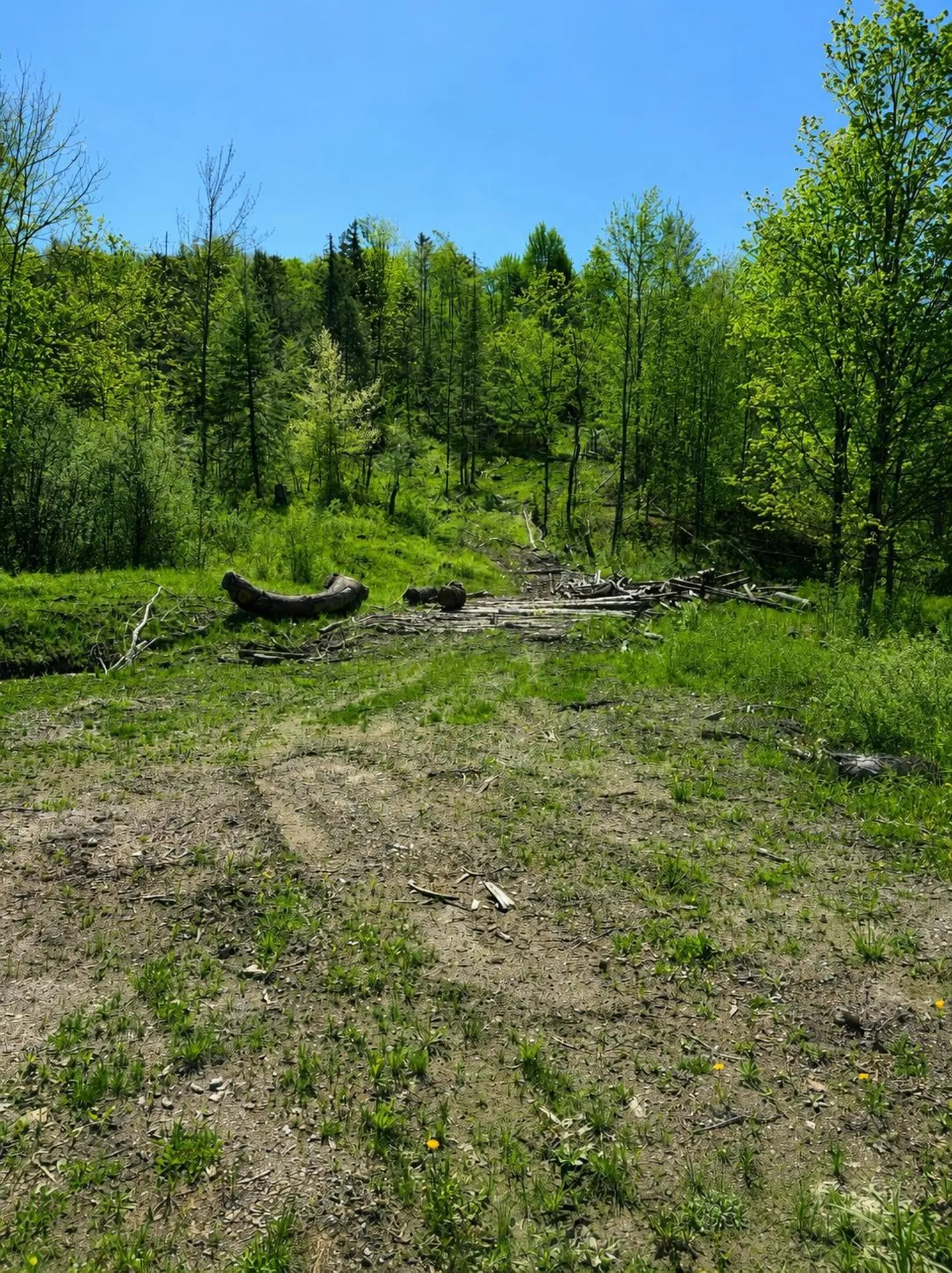 0 Blake Hill Road Woodbury VT 05681