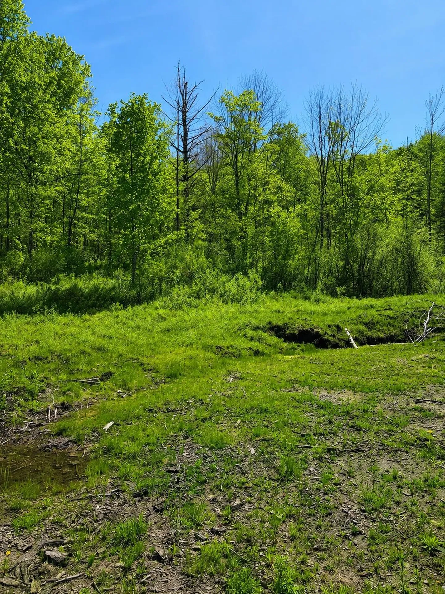 0 Blake Hill Road Woodbury VT 05681