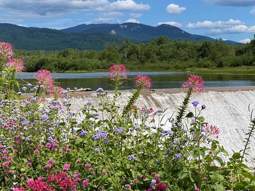 48 Meadow Lane Campton NH 03223