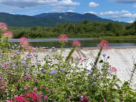 48 Meadow Lane Campton NH 03223
