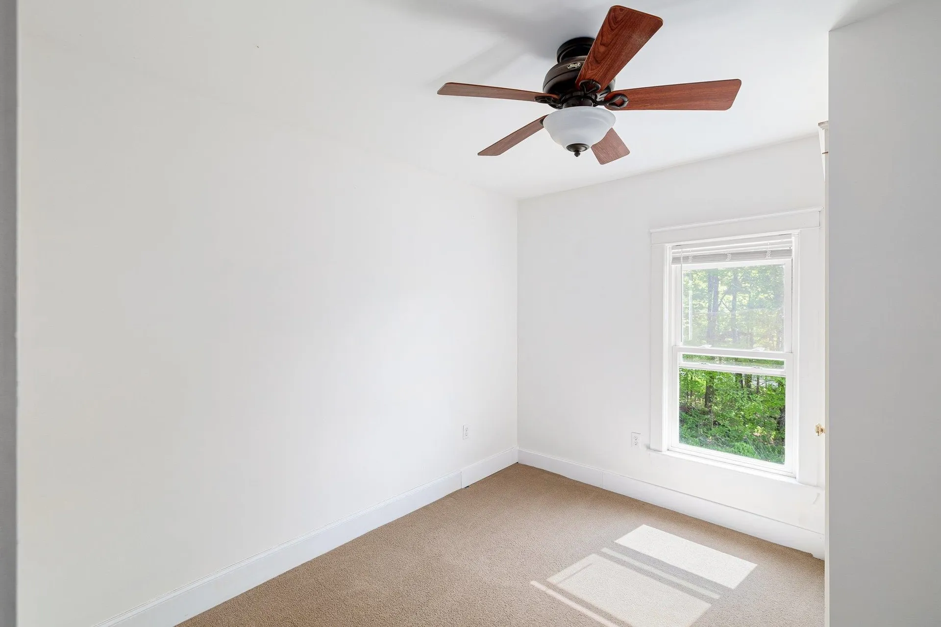 2486 Peak Road Wheelock VT 05851