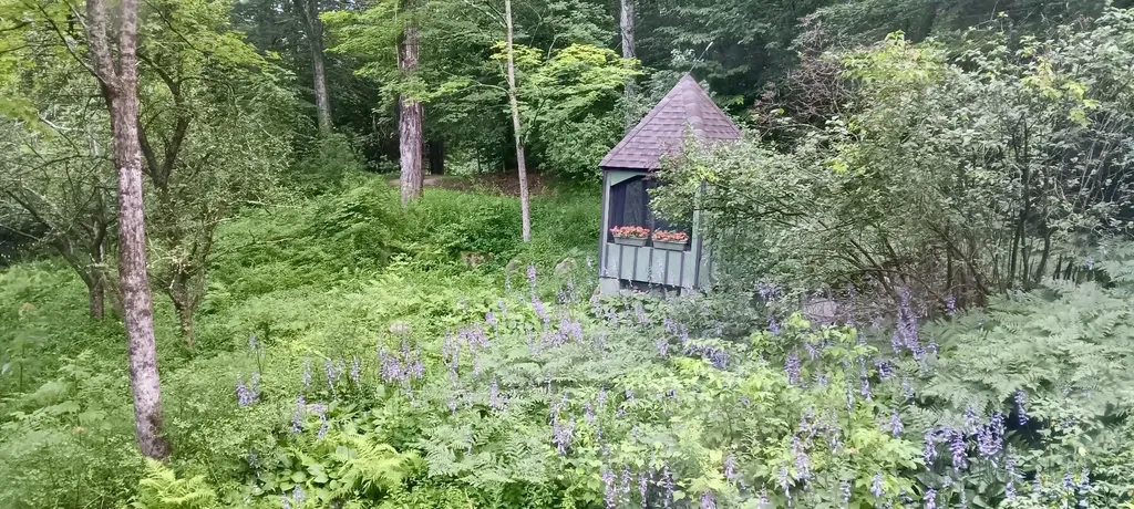 117 Barrett Hill Road Wilton NH 03086