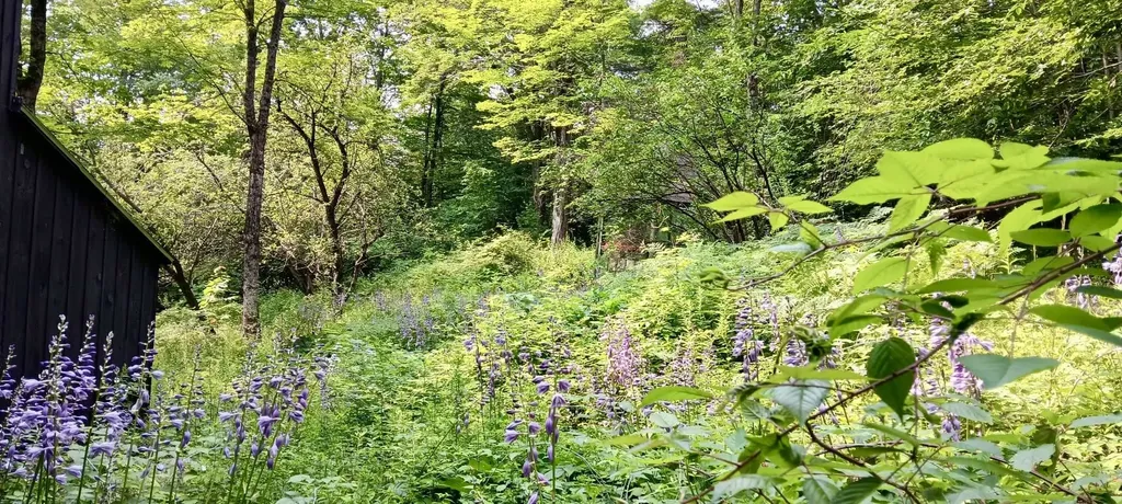 117 Barrett Hill Road Wilton NH 03086