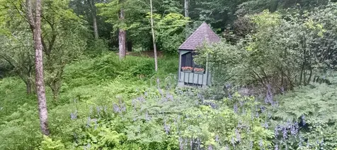 117 Barrett Hill Road Wilton NH 03086
