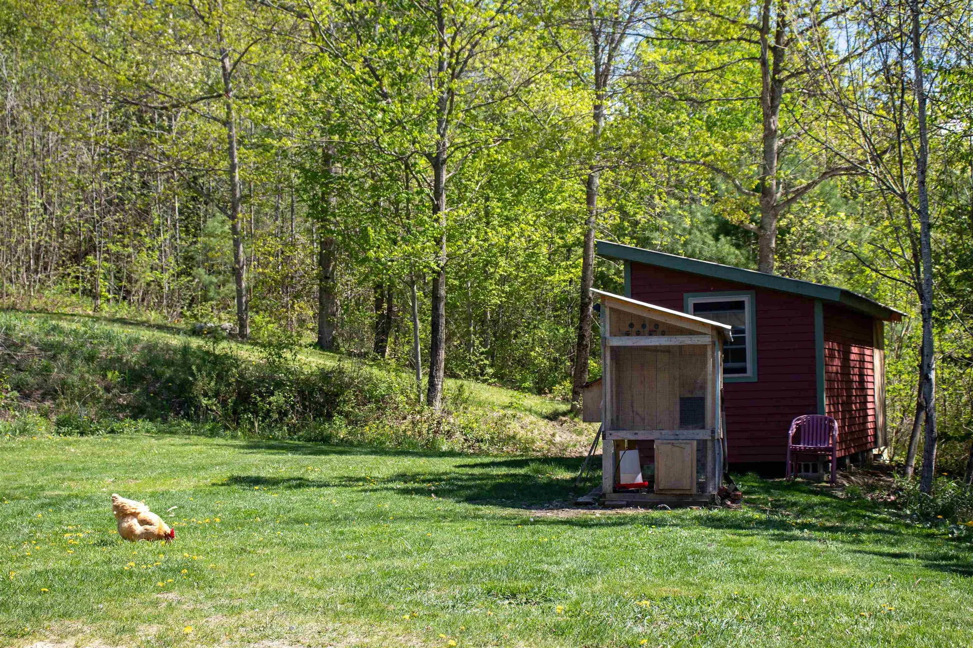197 Waterford Hollow Lane Waterford VT 05819