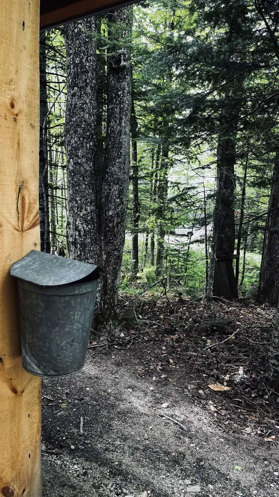 27 Birch Point S Road Morgan VT 05853