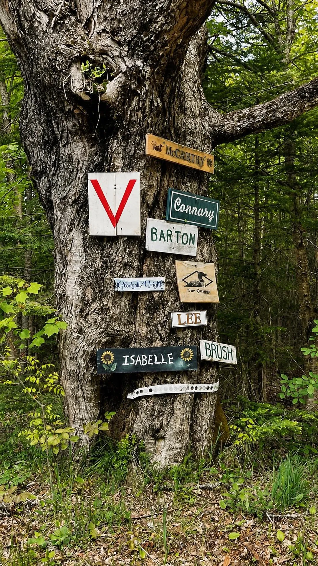 27 Birch Point S Road Morgan VT 05853