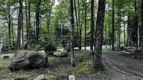 27 Birch Point S Road Morgan VT 05853