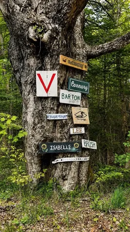 27 Birch Point S Road Morgan VT 05853